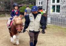 경기도 어린이 말 체험 신청. 8월 26일 시작