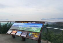 올해 마지막 해넘이, 바다향기수목원 전망대에서!