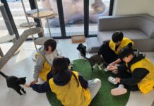 경기도, 청소년과 함께한 ‘겨울방학 생명존중 교감 봉사 프로그램’ 마무리