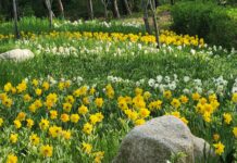 가정의 달 5월! 바다향기수목원으로 신나는 나들이해요