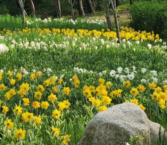 가정의 달 5월! 바다향기수목원으로 신나는 나들이해요