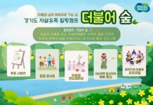 경기도, 자살유족 힐링캠프 ‘더불어 숲’ 개최. “아픔 넘어 회복으로”