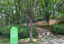 “초록빛 이끼가 전하는 숲속 이야기” 경기도 물향기수목원, ‘이끼원’ 신규 조성