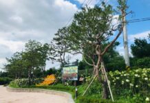 경기도 ‘평택 바람길숲’, 산림청 선정 ‘산책하기 좋은 도시숲’