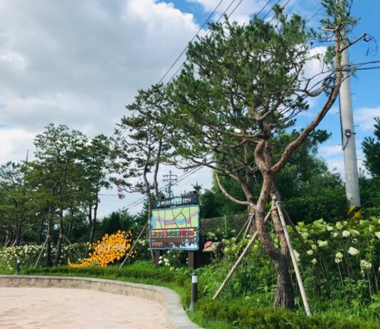 경기도 ‘평택 바람길숲’, 산림청 선정 ‘산책하기 좋은 도시숲’